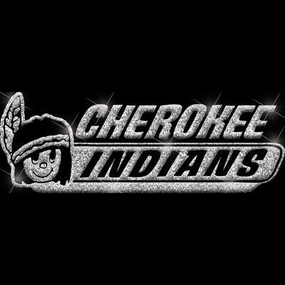 GLT102 SILVER GLITTER Thumbnail